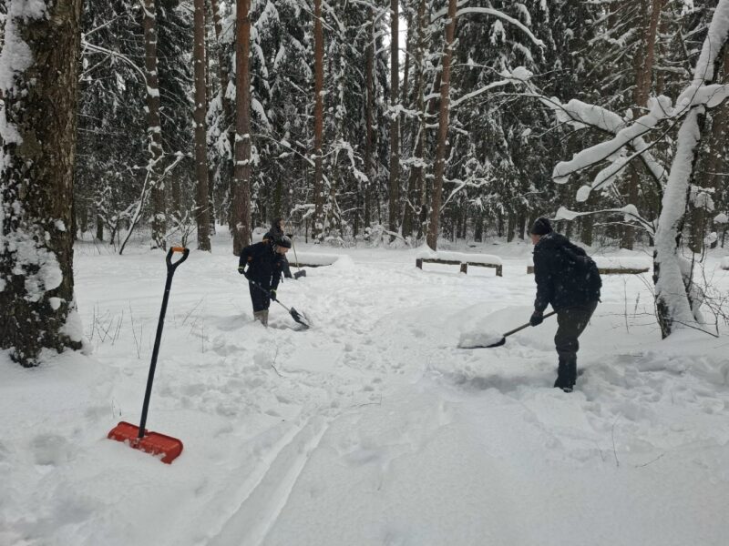 Трасса лыжная Цаговский лес, состояние на 12 января 2026 по отзыву, фото 5. 